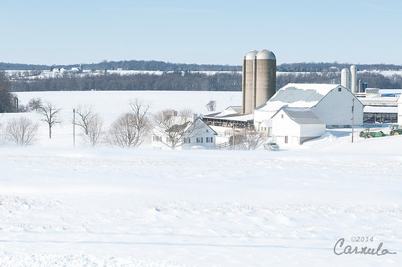 Winter Shot