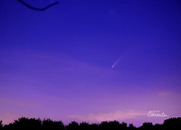 Comet NEOWISE or C/2020 F3