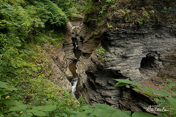 Watkins Glen State Park