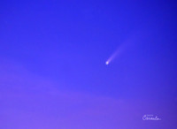 Comet NEOWISE or C/2020 F3