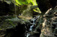 Watkins Glen State Park