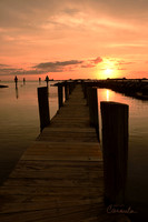 Kiptopeke State Park, VA