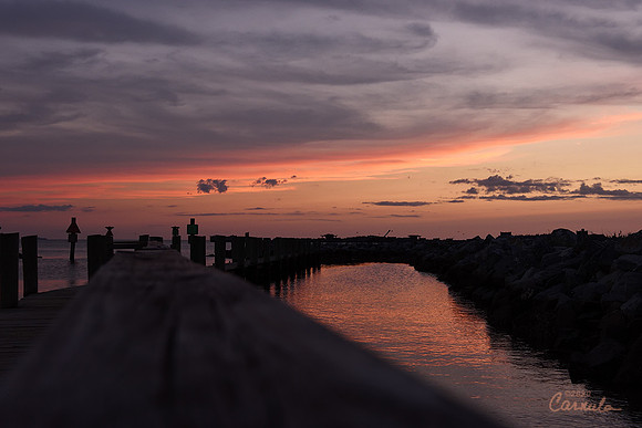 Kiptopeke State Park, VA