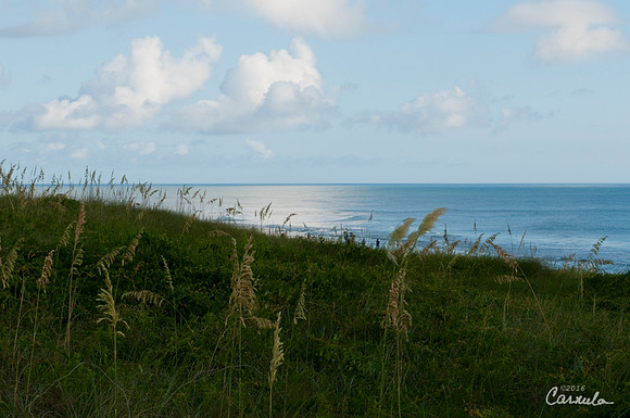 Outer Banks, NC