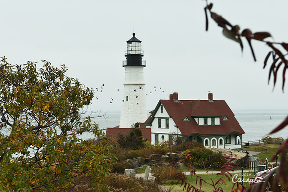 Portland Head Light