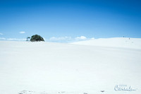Outer Banks, NC, Sand Dunes, Jockey' Ridge State Park
