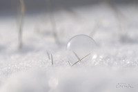 Frozen Bubble