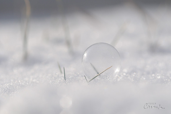 Frozen Bubble
