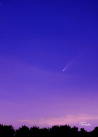 Comet NEOWISE or C/2020 F3