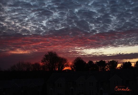 Sunrise