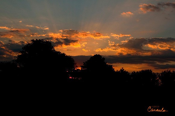 Sunrise
