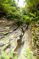 Watkins Glen State Park